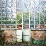 Antique Greenhouse For Sale