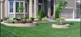 Cheap Landscaping Ideas For Front Of House