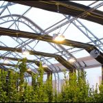 Fully Automated Light Deprivation Greenhouses