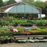 Landscaping Stores Near Me