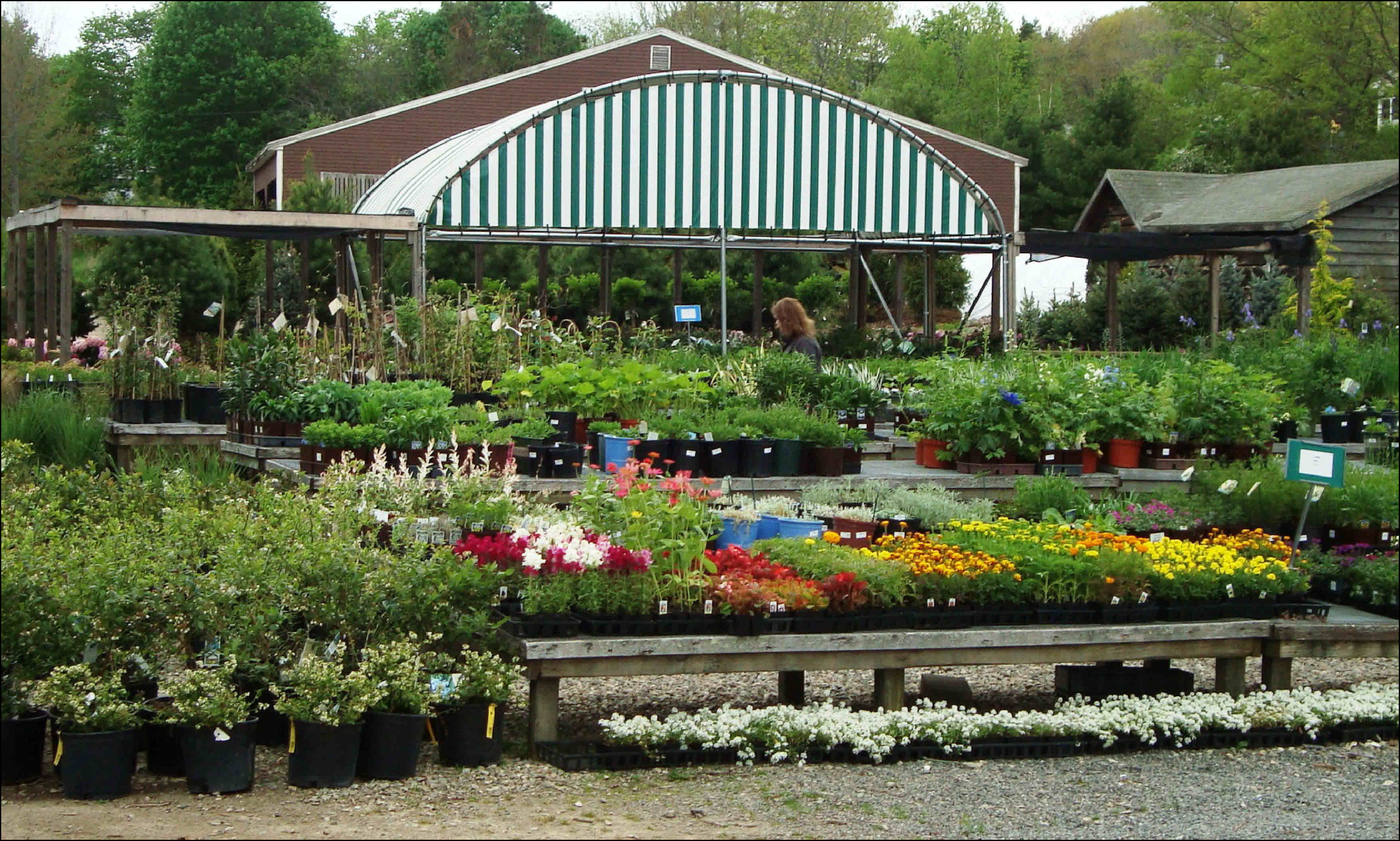 Landscaping Stores Near Me