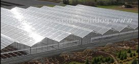 Large Greenhouses For Sale