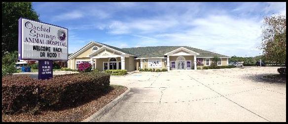 Orchid Springs Animal Hospital