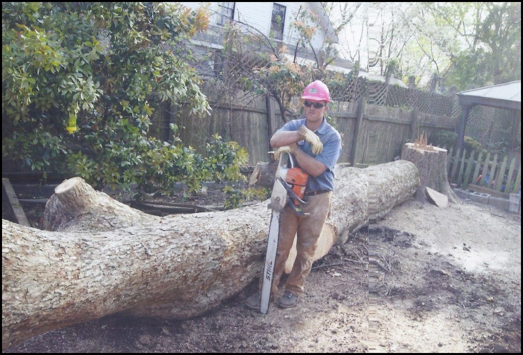 Tree Service Huntsville Al