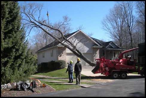 West Michigan Tree Service