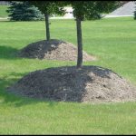 How Deep Should Mulch Be