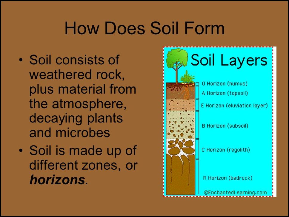 How Does Soil Form