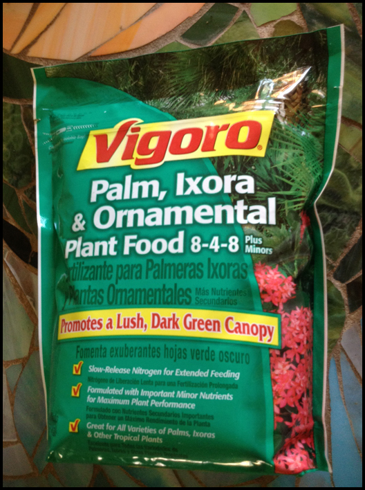 Best Fertilizer For Palm Trees