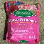 Best Fertilizer For Roses