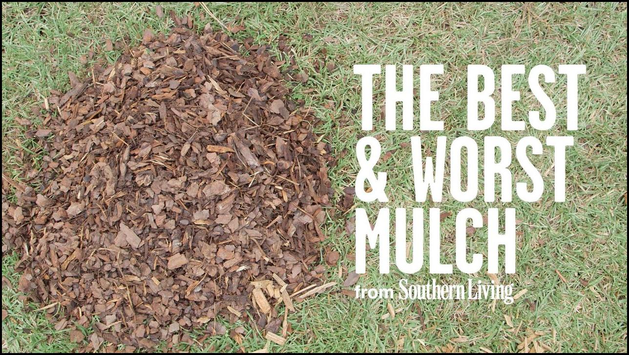 Best Mulch For Garden