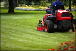 Best Time To Buy Lawn Mower