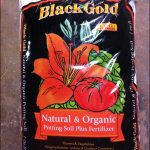 Black Gold Potting Soil