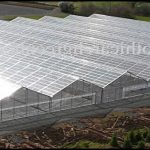 Commercial Greenhouse For Sale