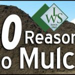 Cost Of Mulch Per Yard