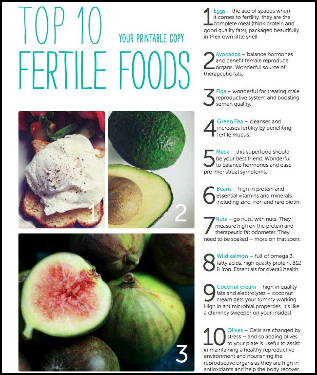 Foods That Make You Fertile