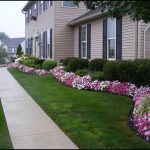 Front Yard Landscaping Plants And Shrubs