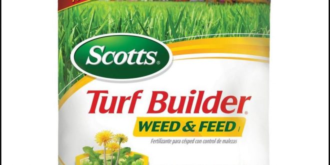 Home Depot Scotts Fertilizer | The Garden