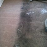 How To Clean Heavily Soiled Carpet