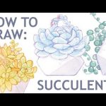 How To Draw A Succulent