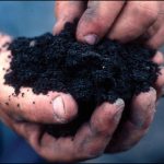 How To Enrich Soil