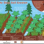 How To Stop Soil Erosion