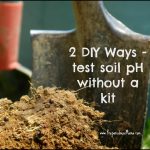 How To Test Ph Of Soil