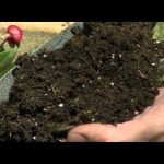 Miracle Gro Moisture Control Garden Soil