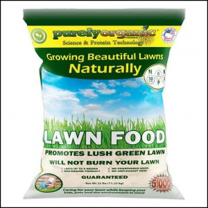 Organic Fertilizer For Grass