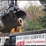 R And R Tree Service