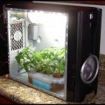 Small Indoor Grow Box
