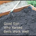 Soil For Raised Beds