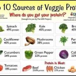 What Vegetables Have The Most Protein