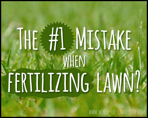 When To Fertilize Lawn In Spring