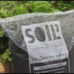 Best Potting Soil For Herbs