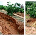 Effects Of Soil Erosion