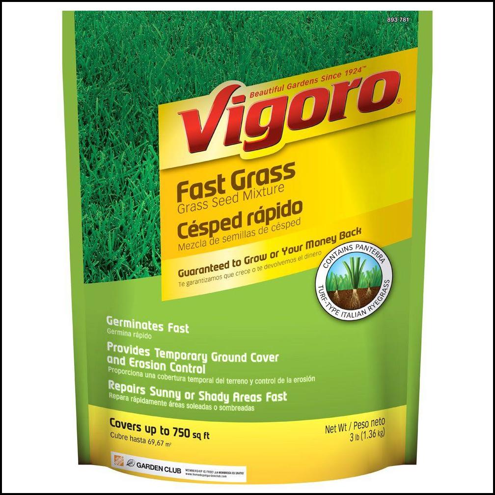 Fastest Growing Grass Seed