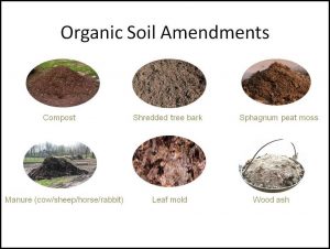 How To Amend Soil