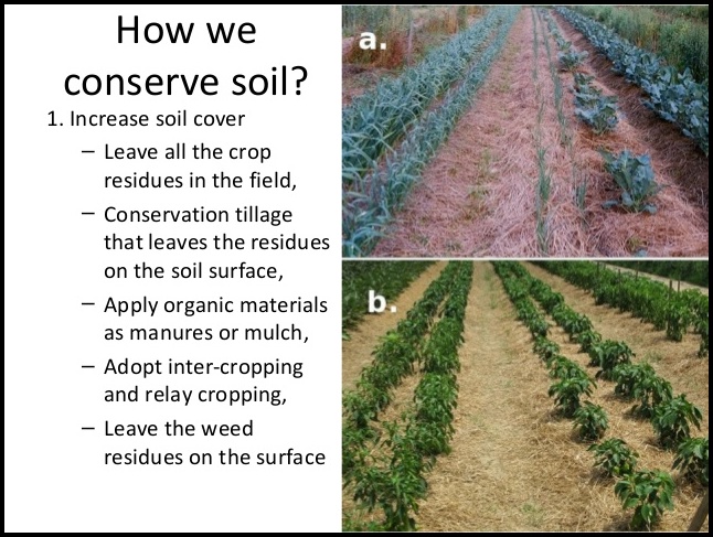 How To Conserve Soil
