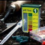 How To Measure Soil Ph