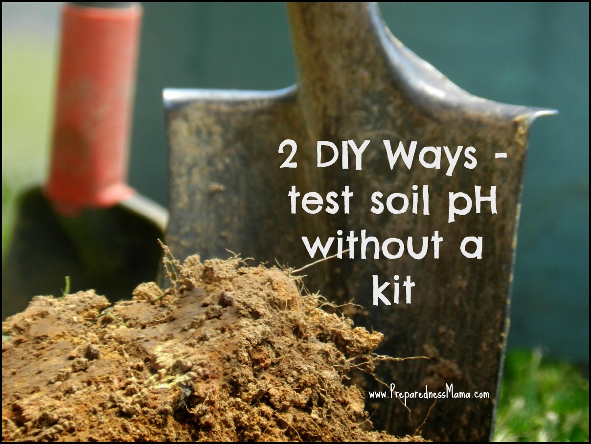 How To Test Soil Ph At Home