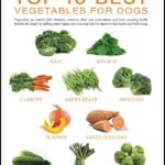 Vegetables That Are Good For Dogs