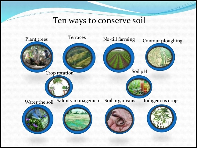 Ways To Conserve Soil