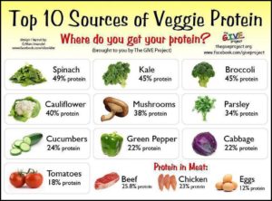 Best Vegetables For Protein