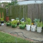 Container Vegetable Garden Plans