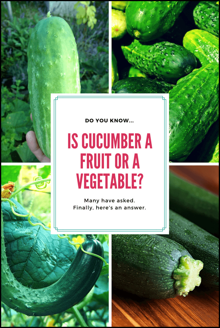 Cucumber Is A Fruit Or Vegetable