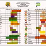 Fruits And Vegetables By Season