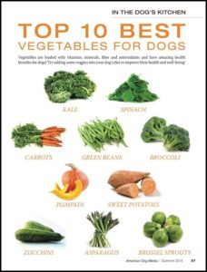 Good Vegetables For Dogs