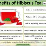 Hibiscus Flower Tea Benefits