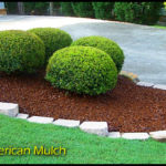 Best Mulch For Landscaping